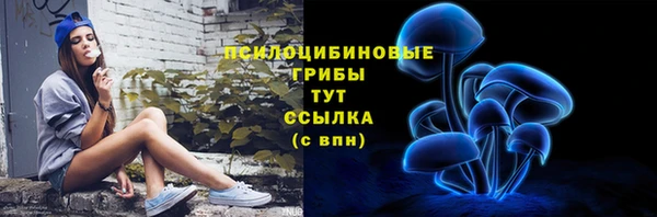 индика Арсеньев