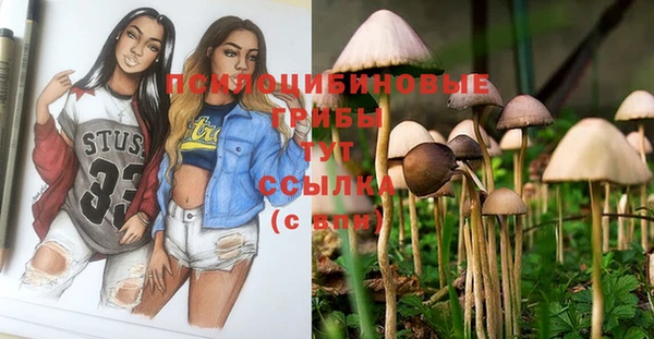 индика Арсеньев