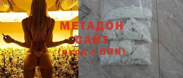 индика Арсеньев