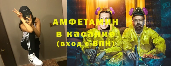 индика Арсеньев