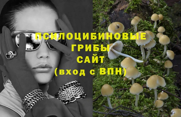 мяу мяу мука Елабуга